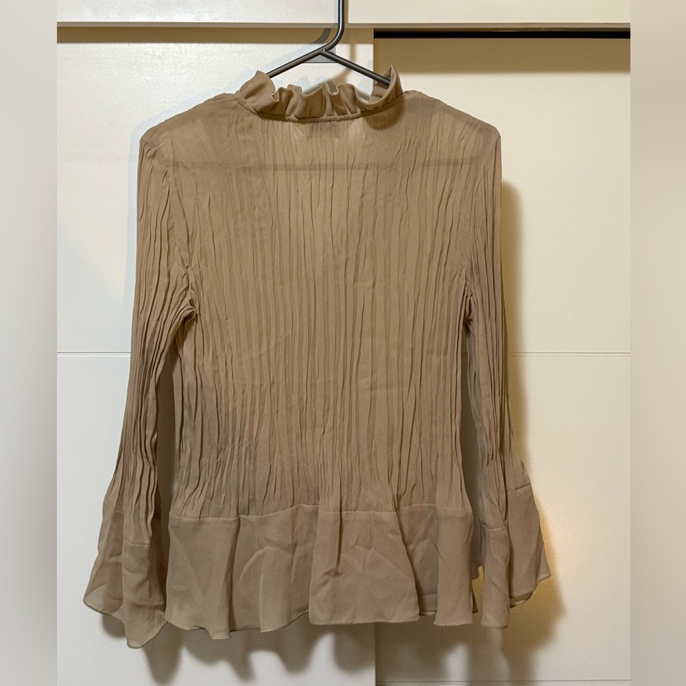 Allison Taylor Beige Ruffled Blouse - Picture 3 of 7